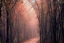 世界杯下注入口-吉林省(shěng)強(qiáng)制隔(gé)离戒毒所(suǒ)周界智能(néng)防護(hù)（六期）项目施工、监理服务（二(èr)次）合同