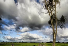 竞彩世界杯-狂胜31分！湖人今日集锦！詹姆斯集锦也有，扣篮扣爽了