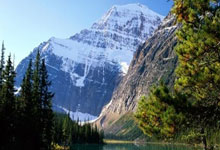 世界杯下注-“网络直播手术暴露患者隐私”，院方通报