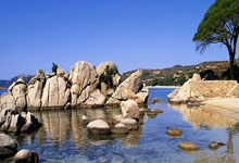 世界杯下注入口-吉林省(shěng)強(qiáng)制隔(gé)离戒毒所(suǒ)周界智能(néng)防護(hù)（六期）项目施工、监理服务（二(èr)次）合同